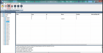 Bild 0 für DRS Softech MS Access Rec…