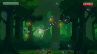 Bild 0 für Firefly Haven