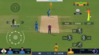 Real Cricket 22的第0张图片