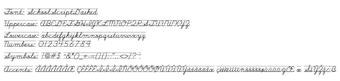 Bild 0 für School Script Dashed