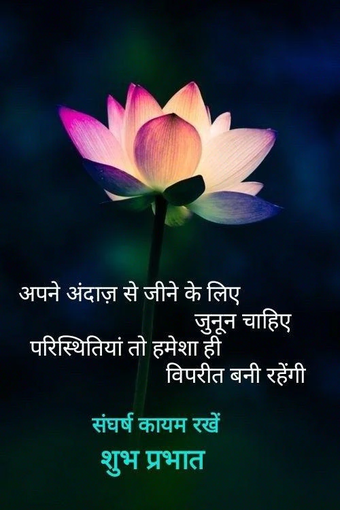 Hindi Good Morning Imagesの画像0