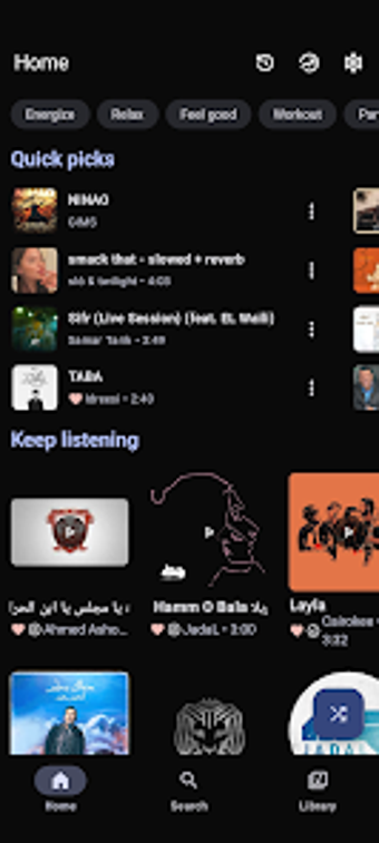 RaMusi - Offline Music Pl…の画像0