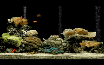 Free Aquarium Screensaver的第0张图片
