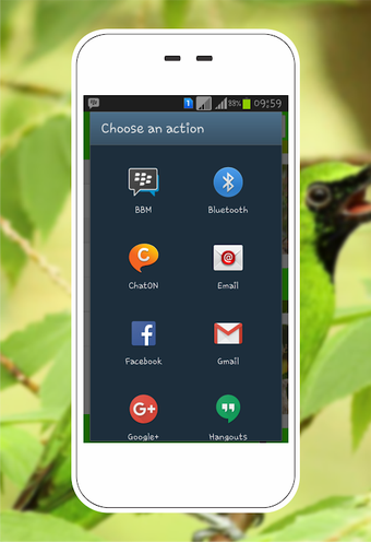 Greater Green Leafbird的第0张图片