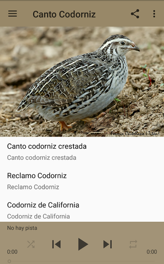 Image 0 pour Canto Codorniz