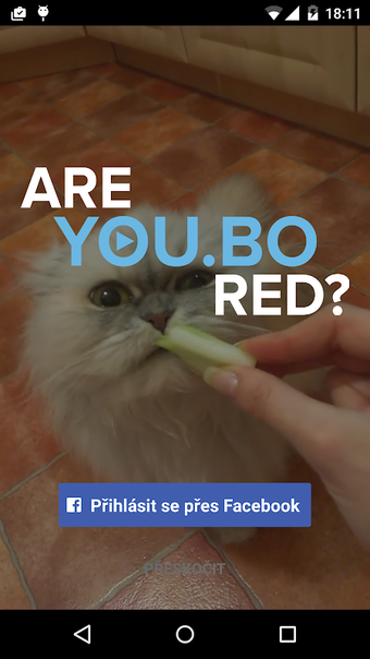 Obraz 0 dla You.bo