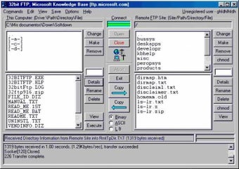 Obraz 0 dla 32bit FTP