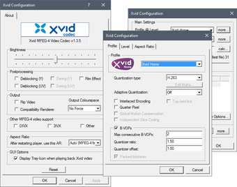 Image 2 for XviD Codec
