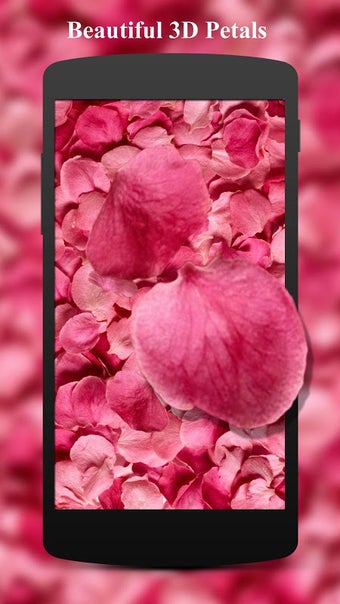 Image 0 for Flower Petals 3D Wallpape…