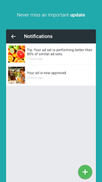 Immagine 0 per Facebook Ads Manager