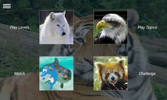 Obraz 0 dla Match Animals Game