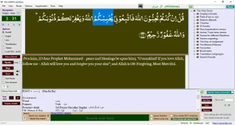 Image 0 for The QURAN database