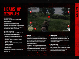 Obraz 0 dla RDR2: Companion
