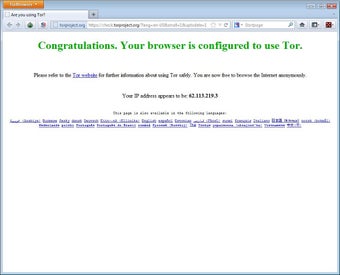 Image 0 pour Tor Browser Bundle