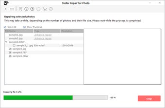 Bild 2 für Stellar Photo Repair
