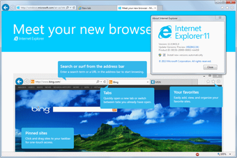 Obraz 1 dla Internet Explorer