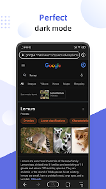 Lemur Browser - extension…の画像0