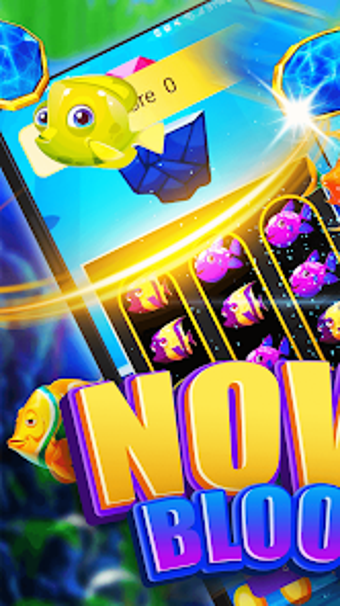 Obraz 0 dla Nova Bloom