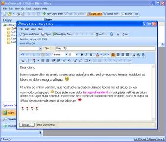 Image 0 for Efficient Diary