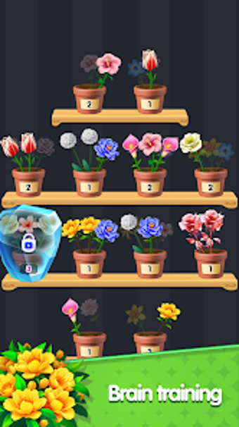 Bild 0 für Triple Bloom Enigma