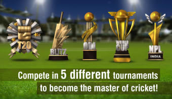 Download World Cricket Championship 2 for Windows
