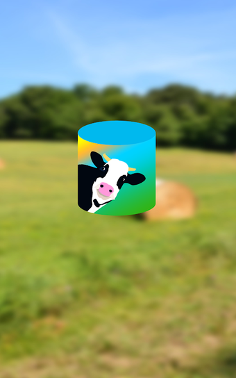 Bild 0 für The Moo Box