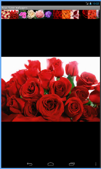 Immagine 0 per Rose Flowers Wallpaper