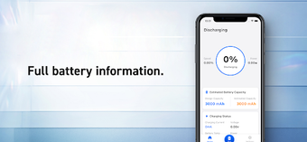 CAPSTONE INの画像0