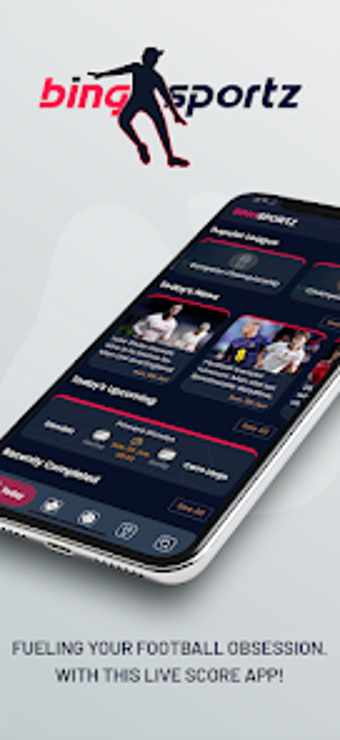 Bingsportz Footballの画像0