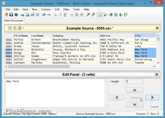 Image 2 for Ron's Editor