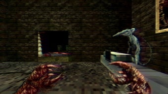 Immagine 0 per Navicula Meatus