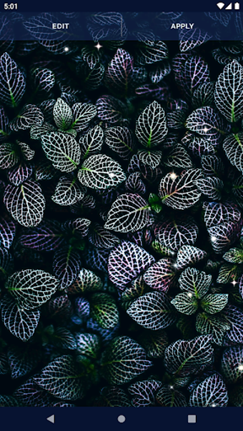 HD Live Wallpaper for OPP…の画像6