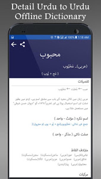 Obraz 6 dla English Urdu Dictionary O…