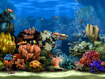 Living Marine Aquarium 2 …の画像0