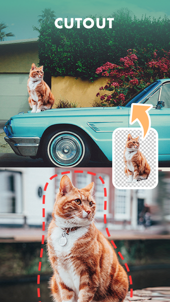 Image 0 pour Photo Editor Pro Effects …