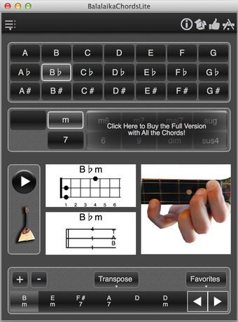 Immagine 0 per BalalaikaChordsLite