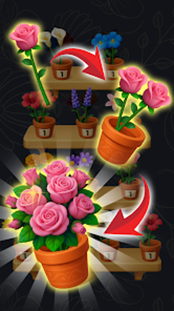 Image 0 pour Flower Sorting: Blossom M…