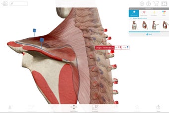 Human Anatomy Atlas 2018:…の画像0