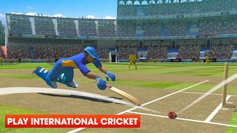 Real World Cricket 18: Cr…的第1张图片