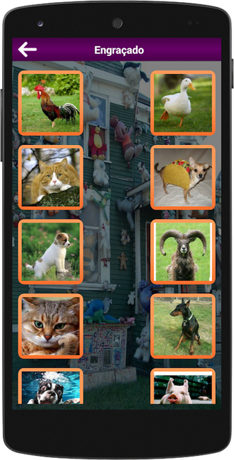 Bild 0 für All Animal Sounds Rington…