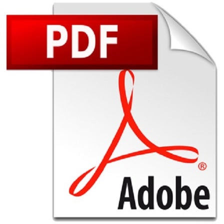Adobe Reader SpeedUp