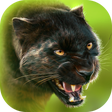 Icon des Programms: Panther Online