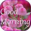 Icon des Programms: Good Morning Flowers