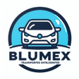 Icon of program: Blumex A…