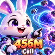 Icon des Programms: 456MCull