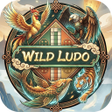 程序图标: Wild Ludo