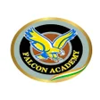 Ikona programu: Falcon Academy