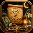 程序图标: Telugu Dua App