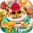 Icône du programme : Tiger Play NumSharp