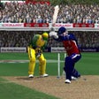 Programmsymbol: Cricket 2005